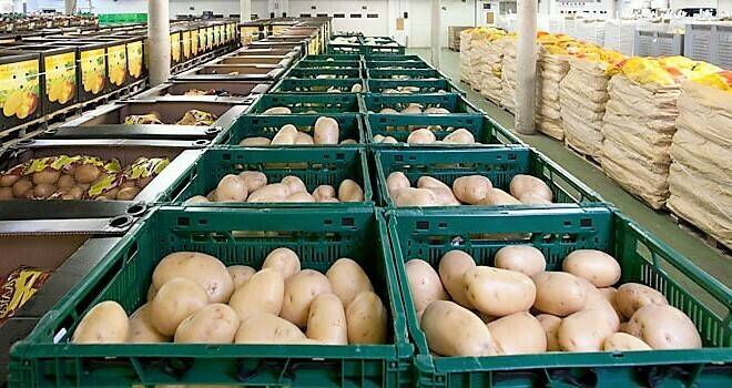 almacen patata zamorano